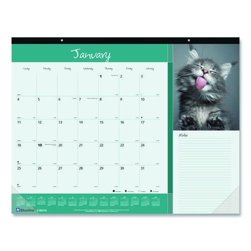 Blueline Pets Collection Monthly Desk Pad, Furry Kittens Photography, 22 x 17, White Sheets, Black Binding, 12-Month (Jan-Dec): 2026