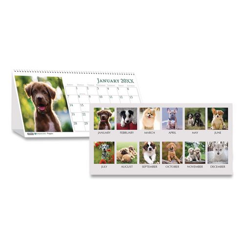 House of Doolittle Earthscapes Recycled Desk Tent Monthly Calendar, Puppies Photography, 8.5 x 4.5, White Sheets, 12-Month (Jan to Dec): 2026