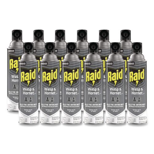 Raid Wasp and Hornet Killer, 14 oz Aerosol Spray, 12/Carton